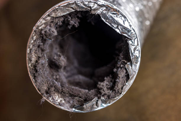 Air Duct Mold Removal in WA