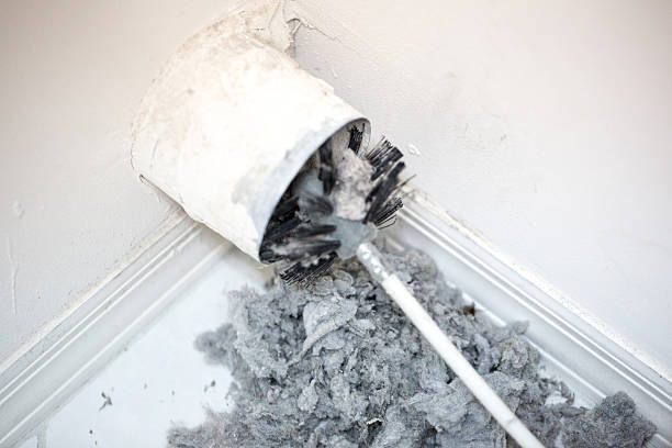 Best Dryer Vent Cleaning Services  in Ilco, WA